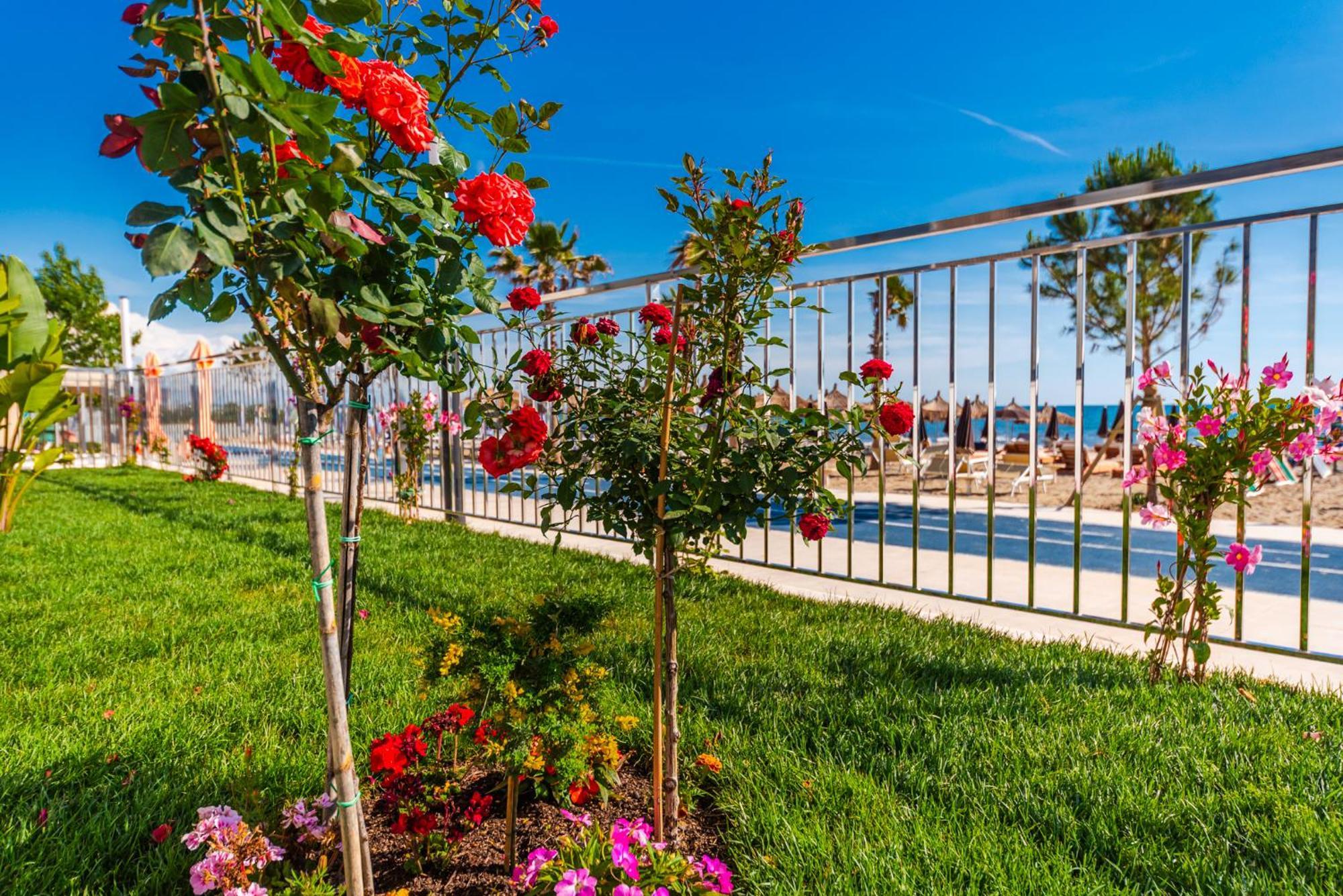 Sea View Apartments Eldo Durrës 외부 사진